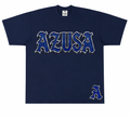 Azusa Canyon city